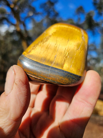 Tumble polished Marramamba Tiger Eye TET107