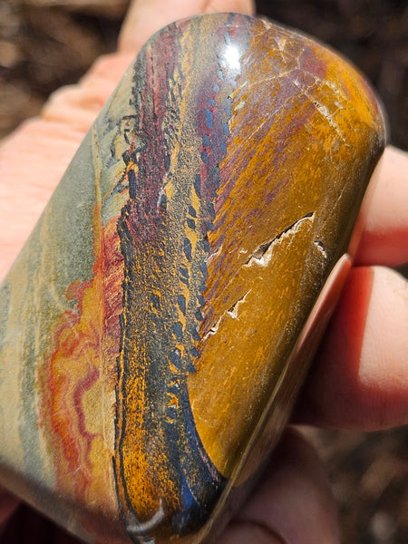 Tumble polished Marramamba Tiger Eye TET107