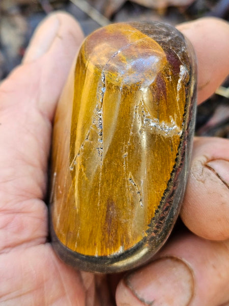 Tumble polished Marramamba Tiger Eye TET107