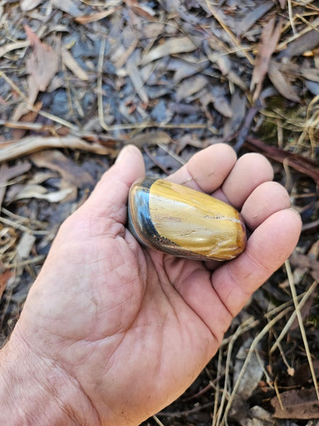 Tumble polished Marramamba Tiger Eye TET107