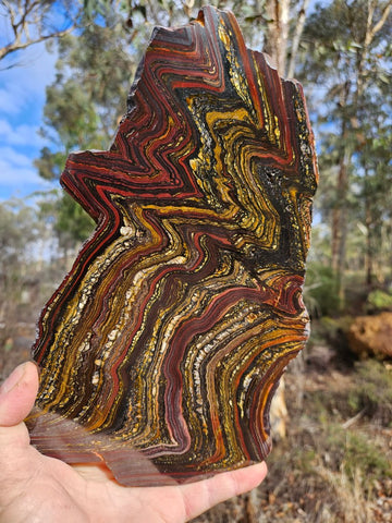 Polished Tiger Iron slab TI368