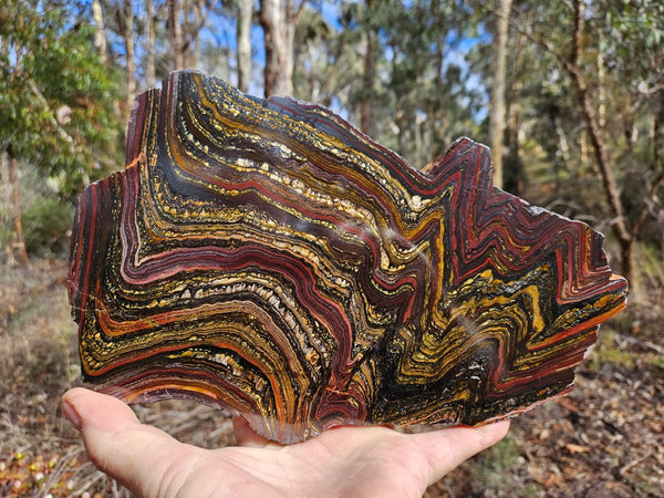 Polished Tiger Iron slab TI368