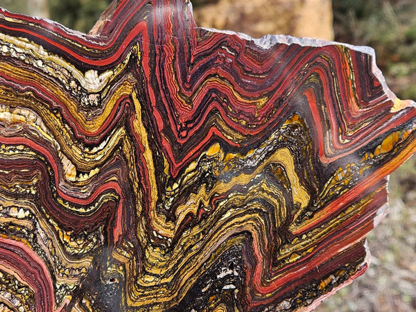Polished Tiger Iron slab TI368
