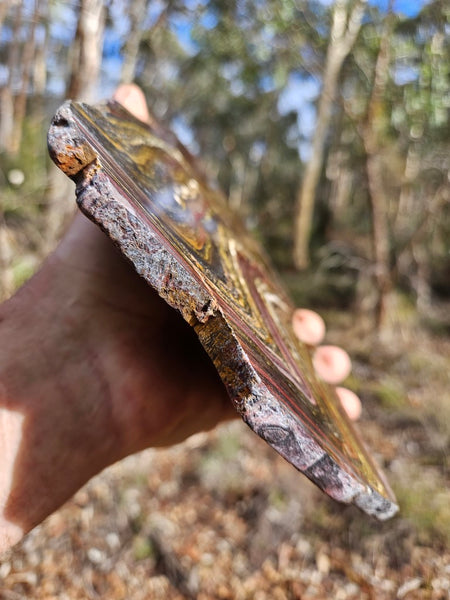 Polished Tiger Iron slab TI368