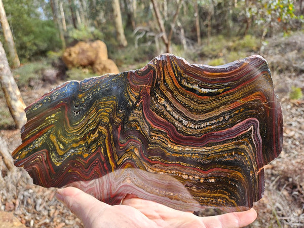 Polished Tiger Iron slab TI368