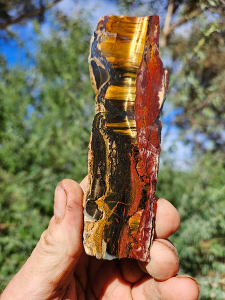 Polished Tiger Eye slab TE461