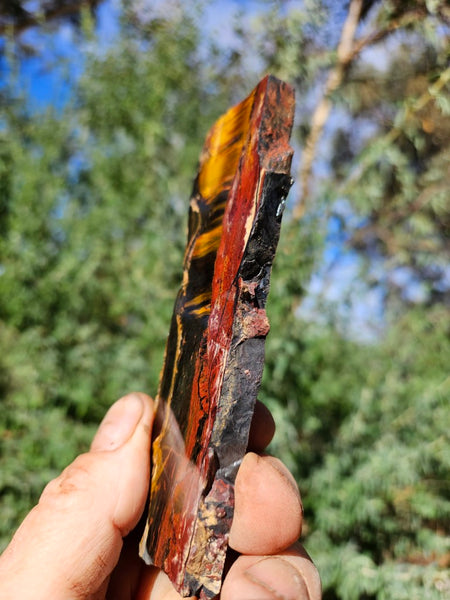Polished Tiger Eye slab TE461