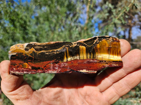 Polished Tiger Eye slab TE461