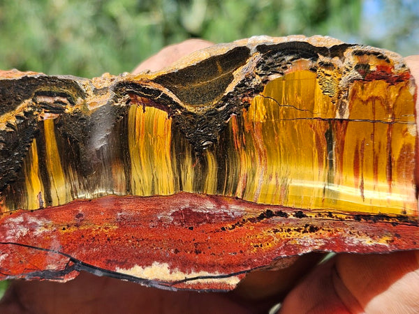 Polished Tiger Eye slab TE461