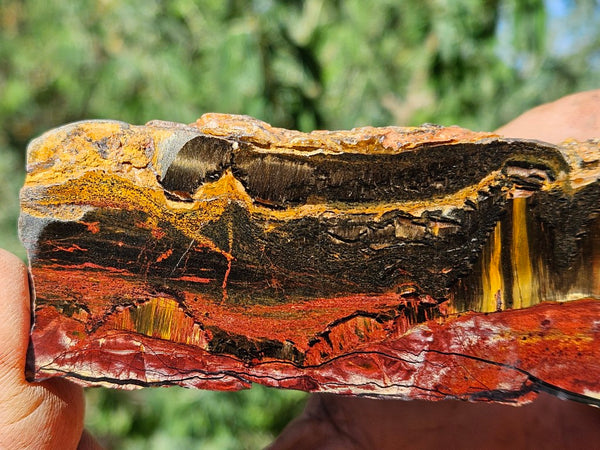 Polished Tiger Eye slab TE461