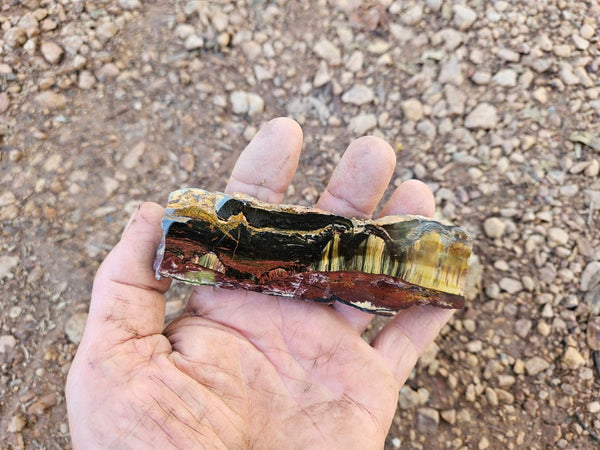 Polished Tiger Eye slab TE461