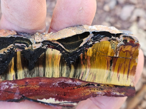 Polished Tiger Eye slab TE461