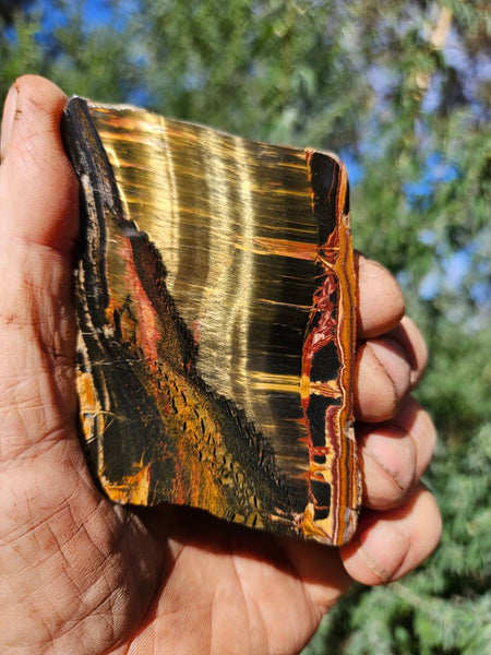 Polished Tiger Eye slab TE462
