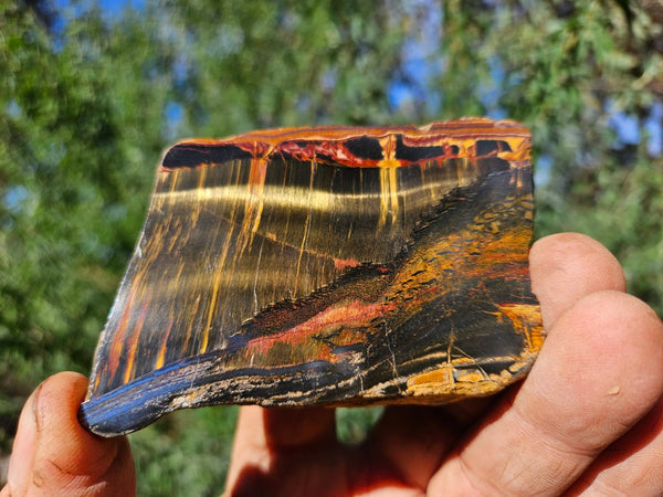 Polished Tiger Eye slab TE462
