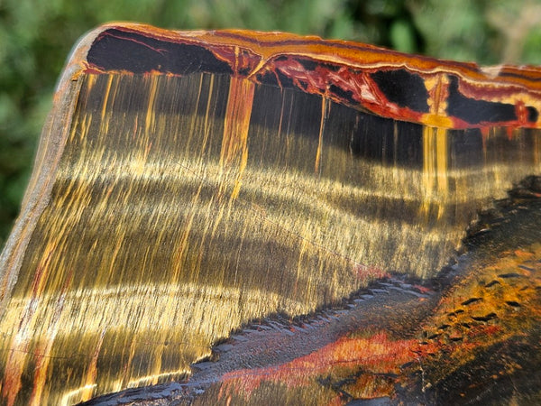 Polished Tiger Eye slab TE462