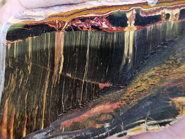 Polished Tiger Eye slab TE462