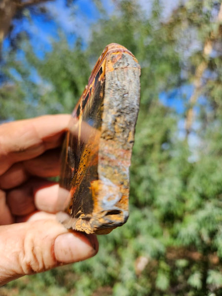 Polished Tiger Eye slab TE462