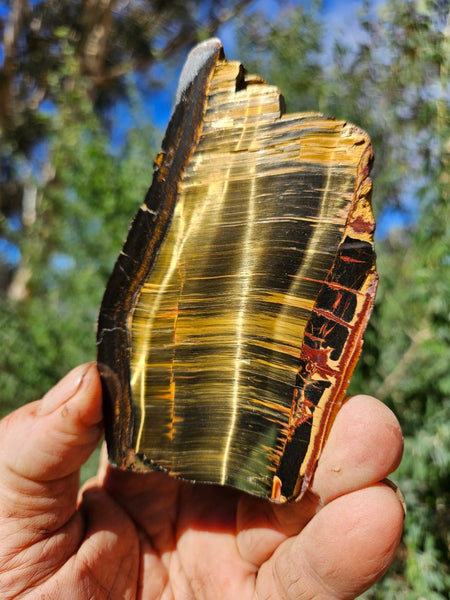 Polished Tiger Eye slab TE463