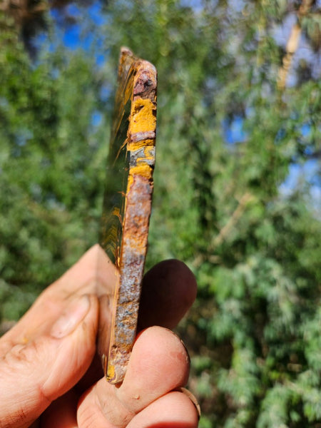 Polished Tiger Eye slab TE463