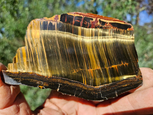 Polished Tiger Eye slab TE463