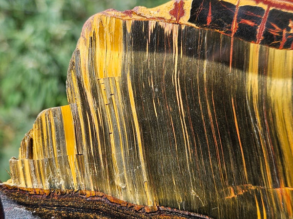 Polished Tiger Eye slab TE463