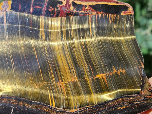 Polished Tiger Eye slab TE463