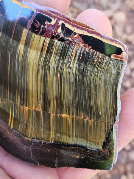 Polished Tiger Eye slab TE463