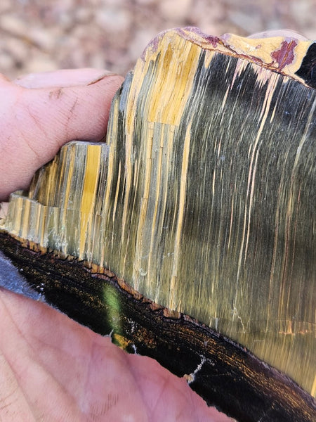 Polished Tiger Eye slab TE463