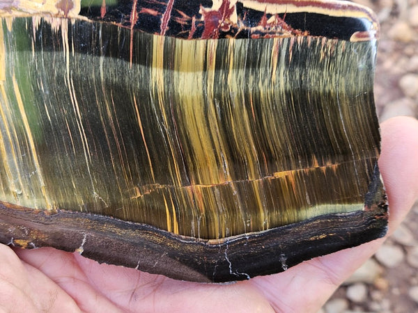 Polished Tiger Eye slab TE463