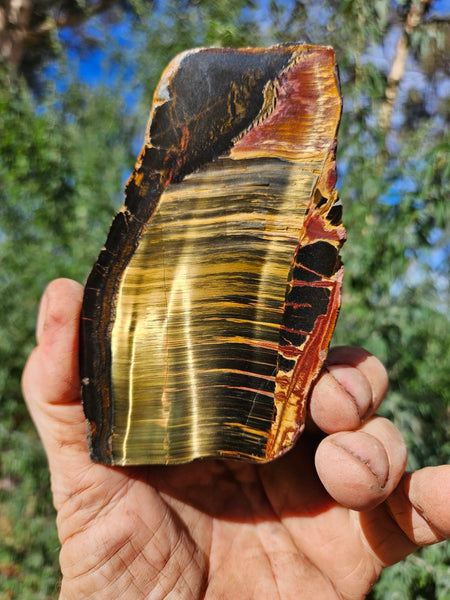 Polished Tiger Eye slab TE464