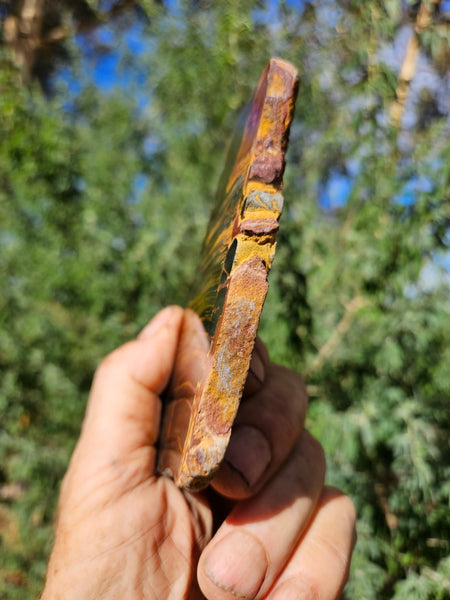 Polished Tiger Eye slab TE464