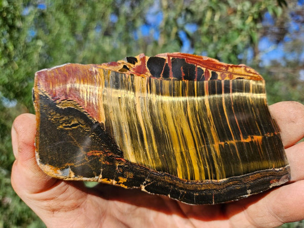 Polished Tiger Eye slab TE464