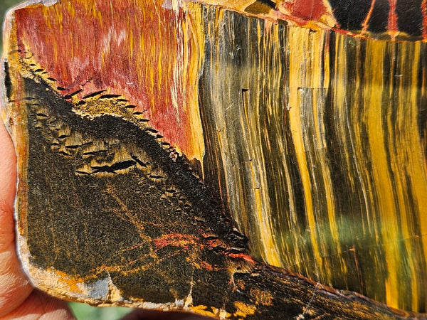Polished Tiger Eye slab TE464