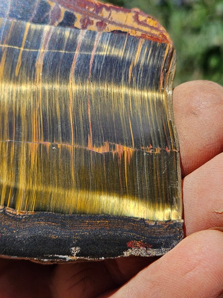 Polished Tiger Eye slab TE464