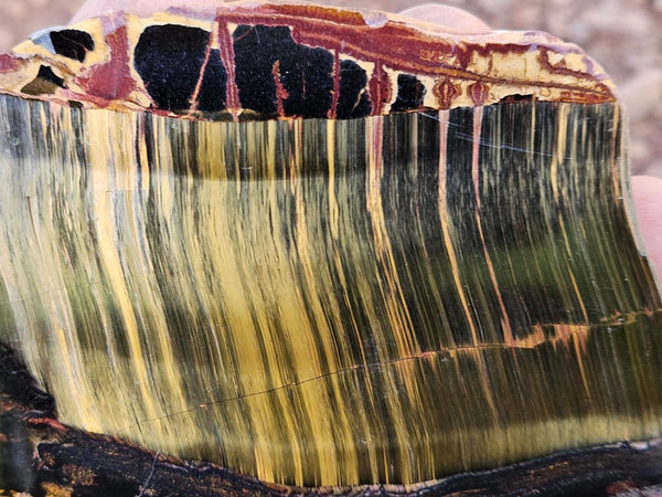 Polished Tiger Eye slab TE464