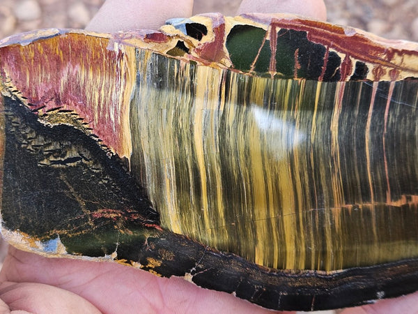 Polished Tiger Eye slab TE464
