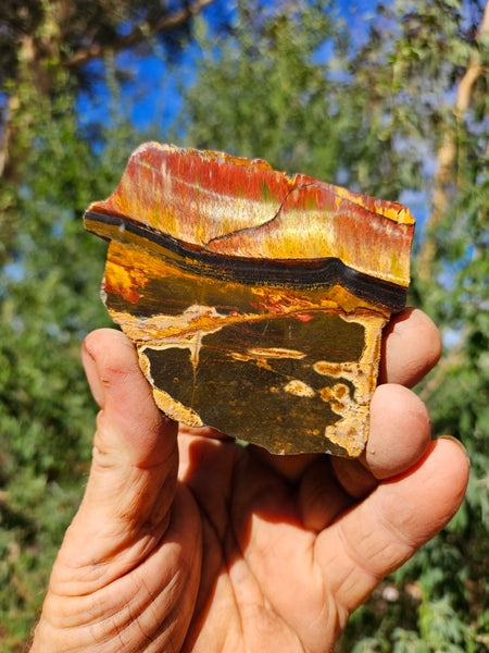 Polished Tiger Eye slab TE468
