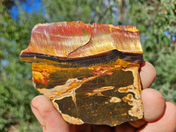 Polished Tiger Eye slab TE468