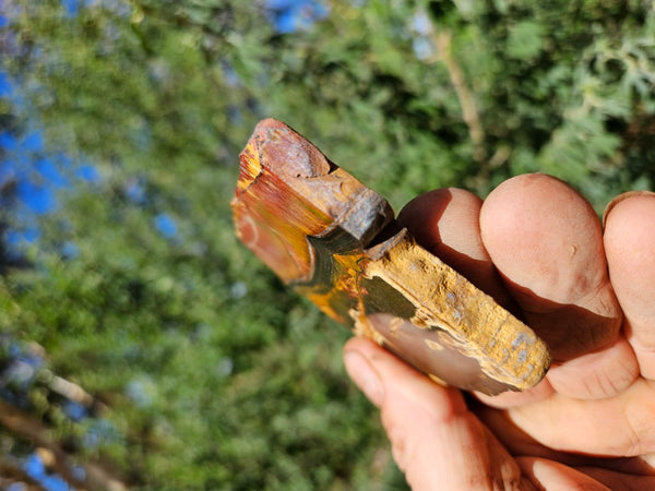 Polished Tiger Eye slab TE468