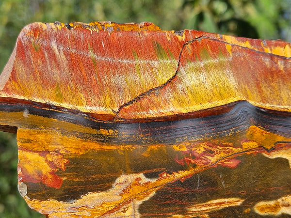 Polished Tiger Eye slab TE468
