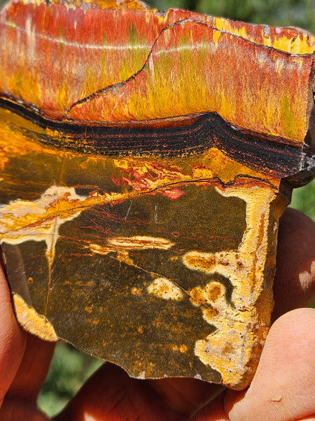 Polished Tiger Eye slab TE468