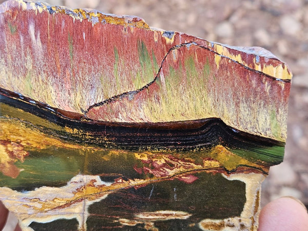 Polished Tiger Eye slab TE468