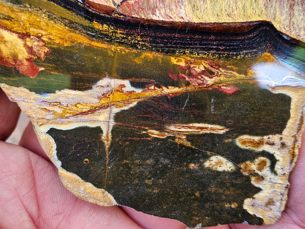 Polished Tiger Eye slab TE468