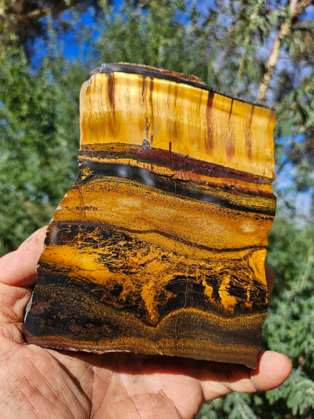 Polished Tiger Eye slab TE465