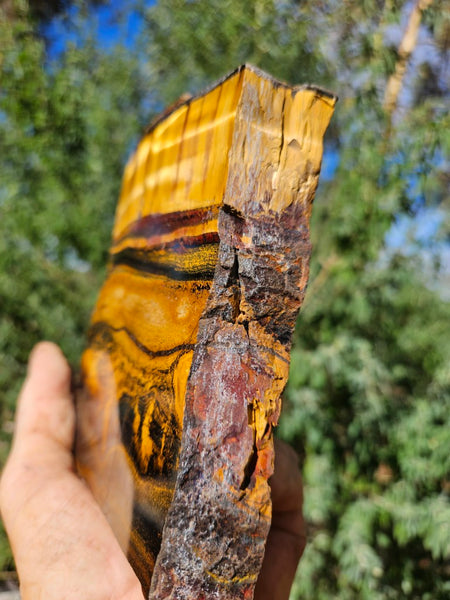 Polished Tiger Eye slab TE465