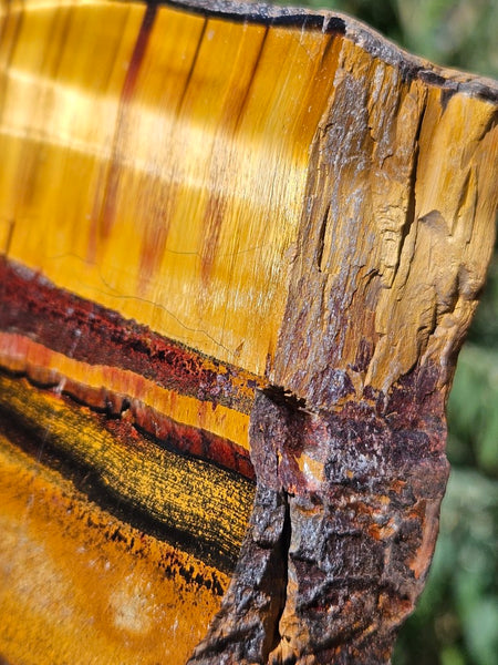 Polished Tiger Eye slab TE465
