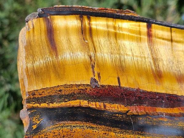 Polished Tiger Eye slab TE465