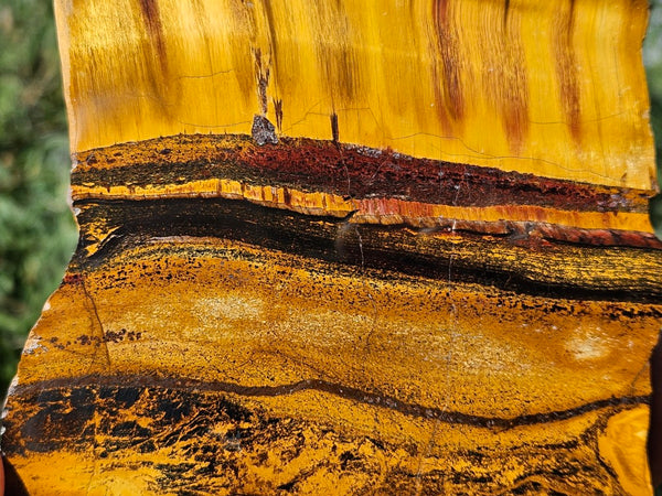 Polished Tiger Eye slab TE465