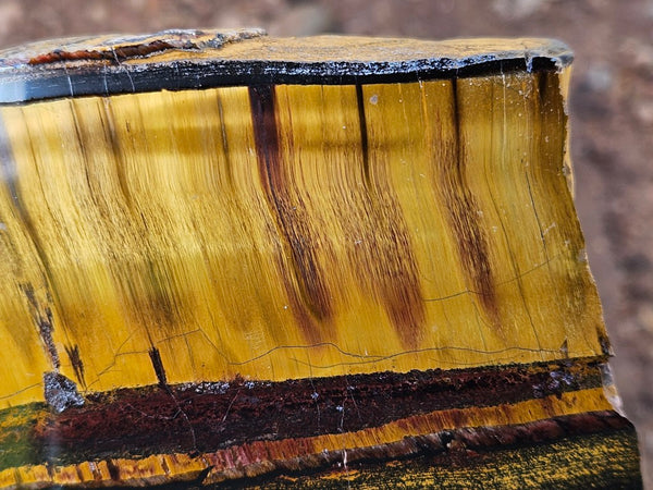 Polished Tiger Eye slab TE465