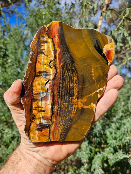 Polished Tiger Eye slab TE466